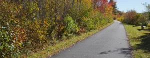 Rail trails are paths or routes created by repurposing old, unused railway corridors into pedestrian-friendly, multi-use pathways.